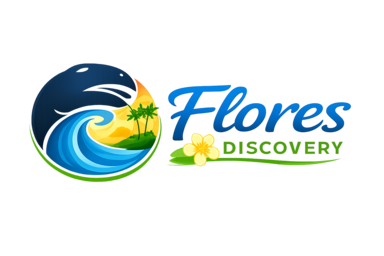 floresdiscovery.com